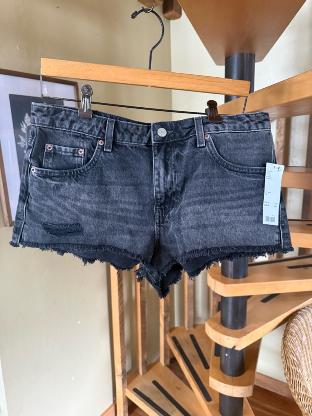 BDG Black Distressed Denim Cutoff Shorts